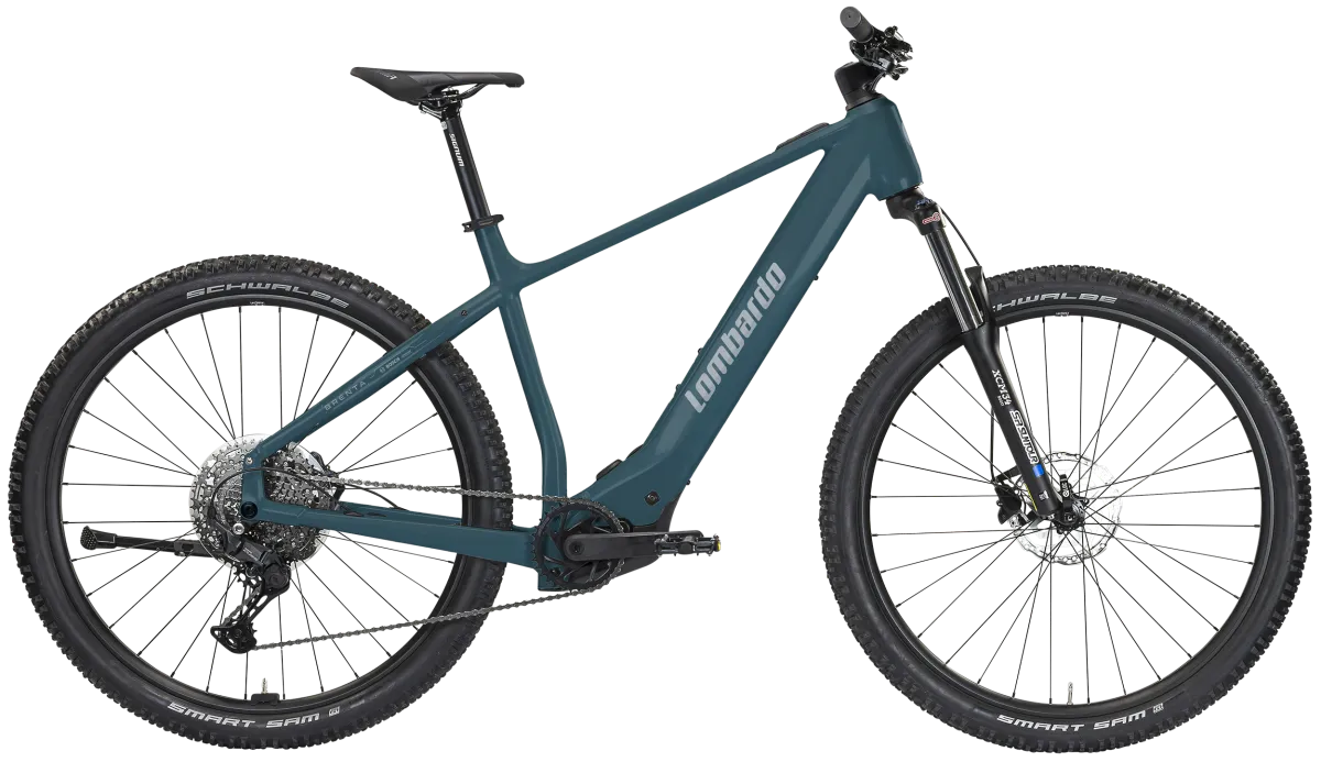 Brenta-Blue Bicicletta Brenta blu, progettata per prestazioni elevate e comfort, ideale per lunghe escursioni e avventure su strada.