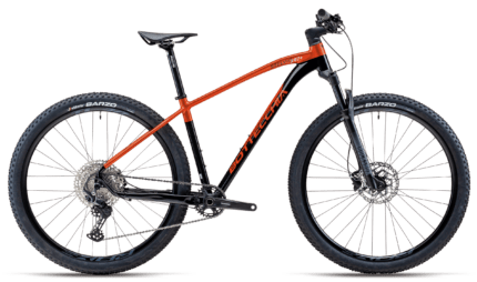 BOTTECCHIA STELVIO 297+