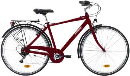Lombardo Mirafiori 250 city bike pronta per l'uso in un contesto cittadino.